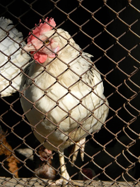 这从她与韩 这从她与韩