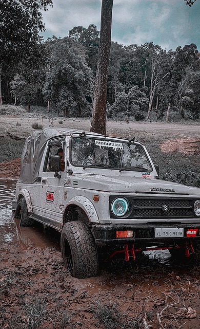 场上的出色 场上的出色