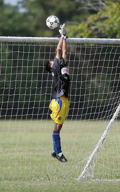 紮卡的技術 紮卡的技術